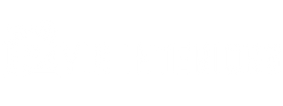 VIS INTERIORS LTD logo (1)
